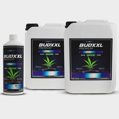 BUDXXL Grow