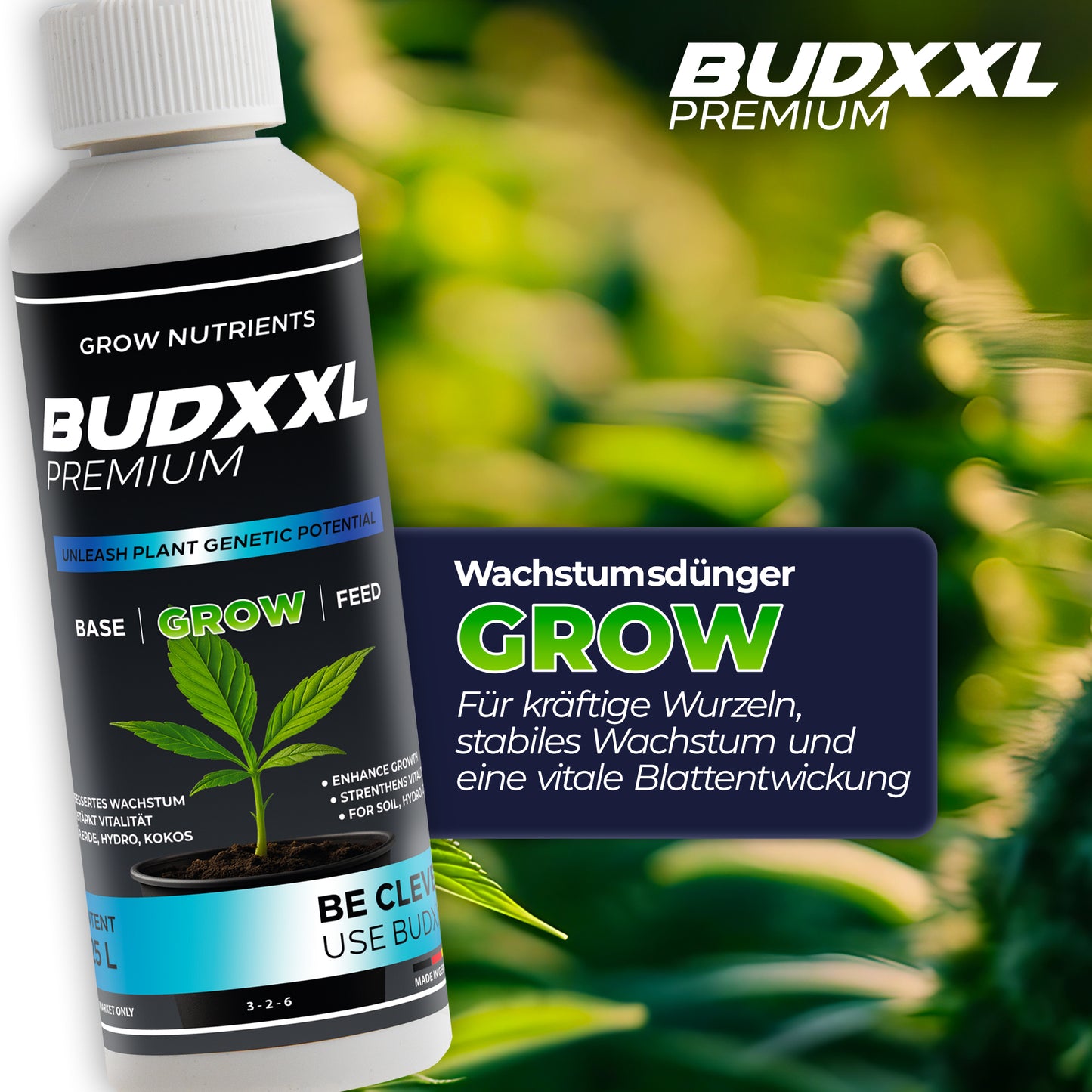 Grow-Box
