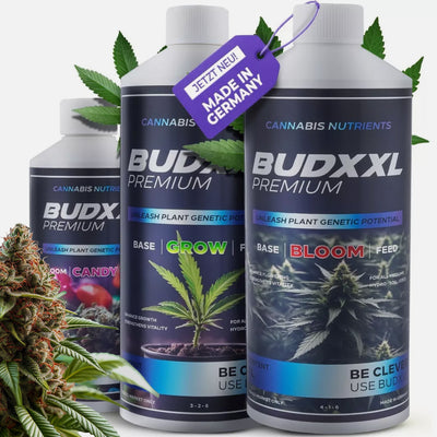 BUDXXL Premium Dünger Set - 1L Grow, 1L Bloom, 500ml Candy